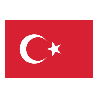 Türk Bayrağı ikon